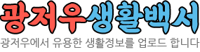 광저우생활백서